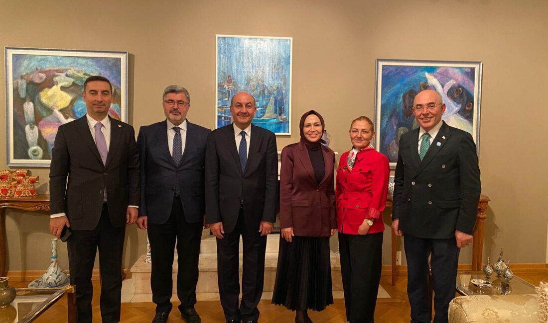 AK Parti Afyonkarahisar Milletvekili Ali Özkaya, İsviçre’nin Cenevre kentinde düzenlenen