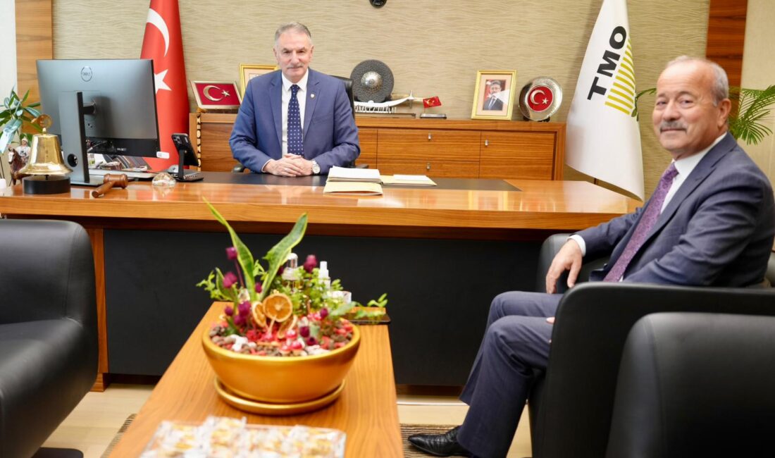 Milliyetçi Hareket Partisi Afyonkarahisar Milletvekili Mehmet Taytak, Toprak Mahsulleri Ofisi