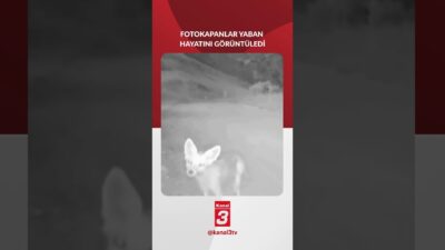 📶https://kanal3.com.tr/ Sosyal Medya Hesaplarımızı Takip Ederek Son Dakika Haberleri Alabilirsiniz;