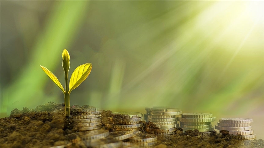 Türkiye'de bankaların kömür finansmanı politikalarında 2024'te değişiklik olmazken net sıfır