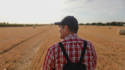 Zorlu Enerji Osmangazi Elektrik Perakende, tarımsal sulama sezonunun sona erdiği