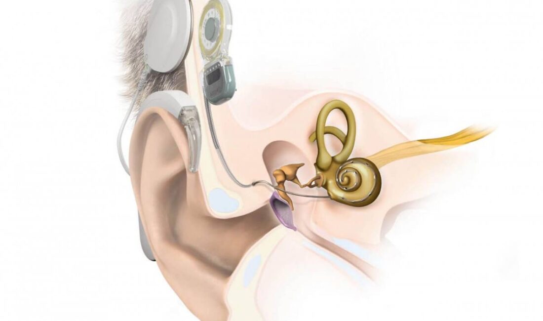 Afyonkarahisar Sağlık Bilimleri Üniversitesi (AFSÜ) Hastanesi Kulak, Burun Boğaz Hastalıkları