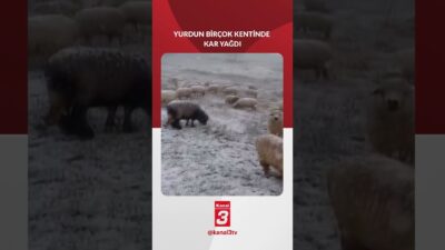 Yurt genelinde hava sıcaklıklarının düşmesiyle birlikte sağanak yağış etkisini artırırken,