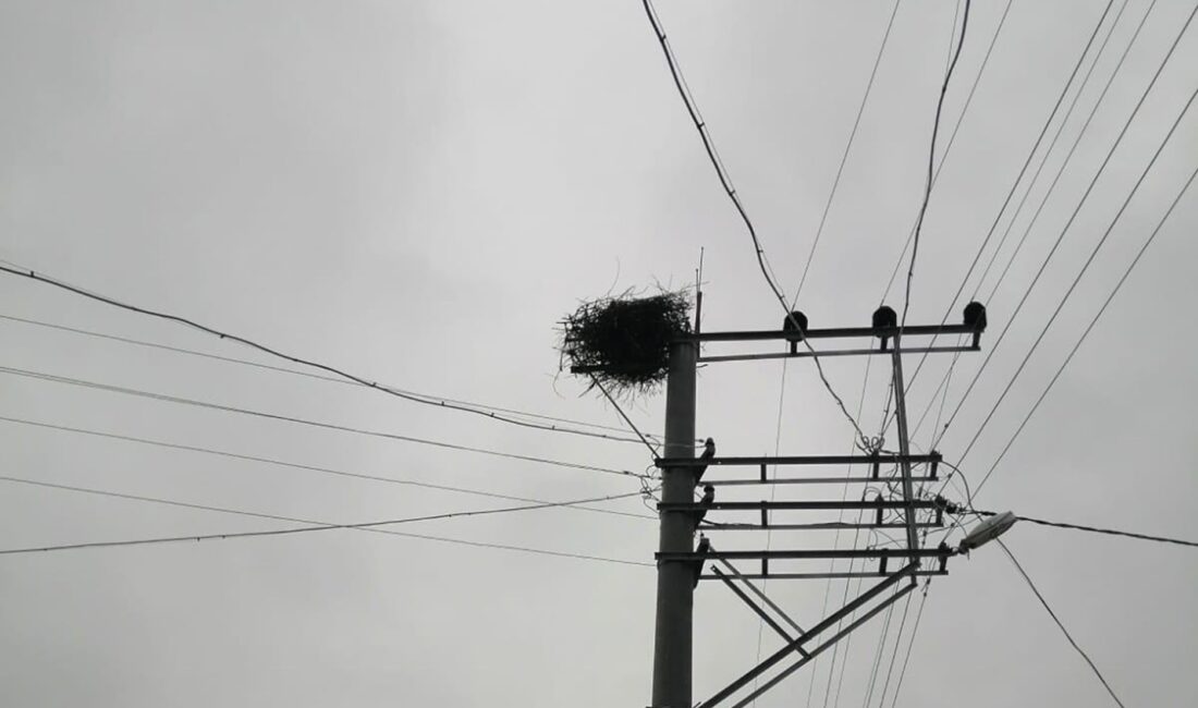 Afyonkarahisar, Bilecik, Eskişehir, Kütahya ve Uşak’ta elektrik dağıtım hizmeti veren