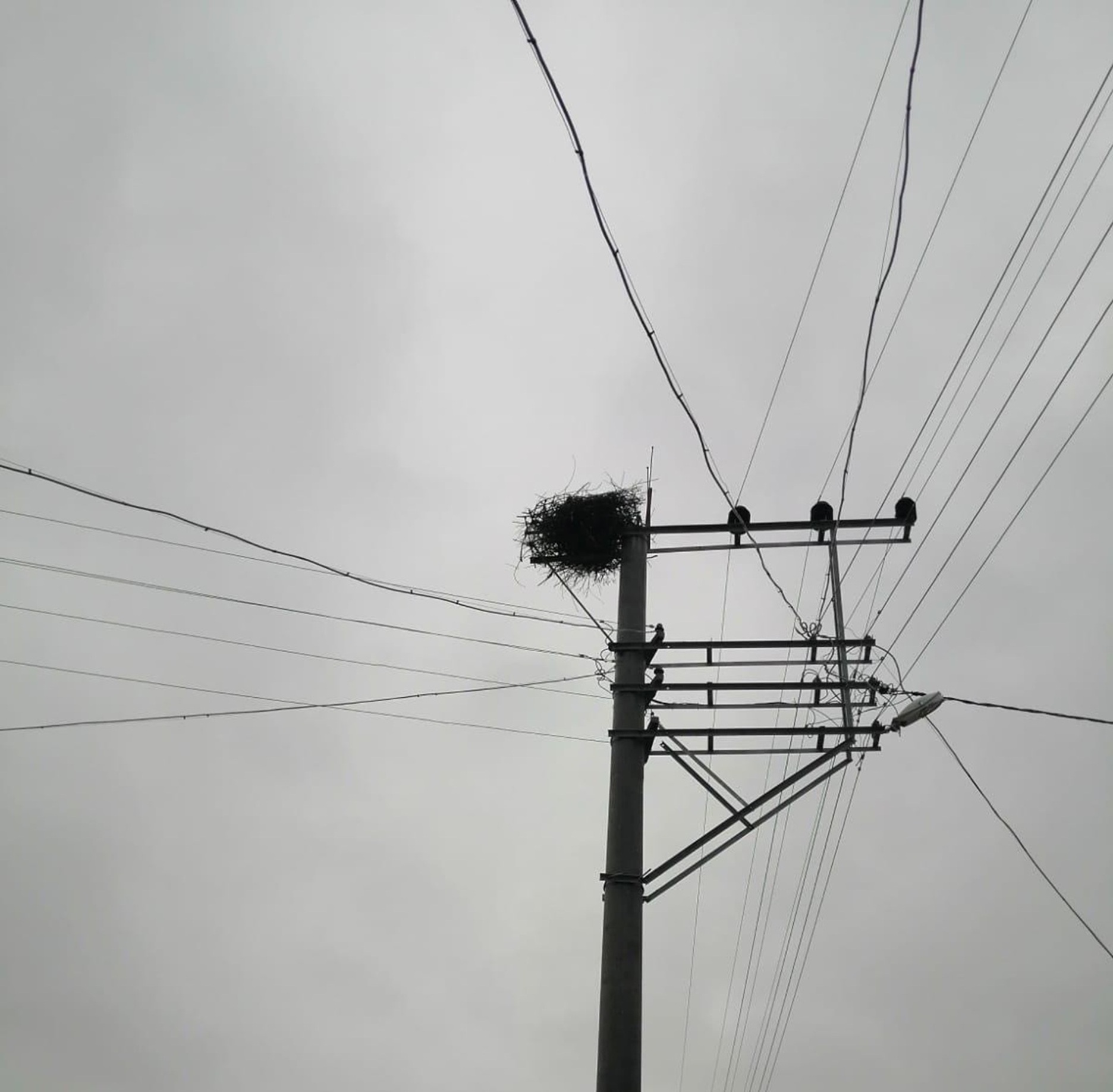 Afyonkarahisar, Bilecik, Eskişehir, Kütahya ve Uşak’ta elektrik dağıtım hizmeti veren