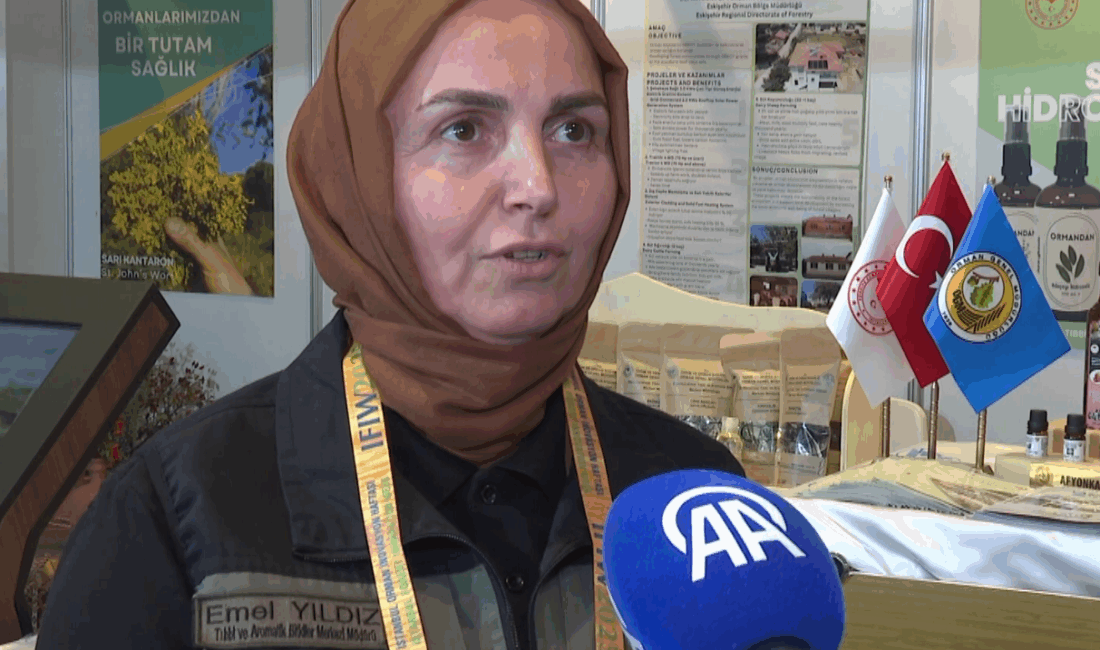 “Türkiye’nin bitki florası Avrupa kıtasına eşdeğerde” Afyonkarahisar Tıbbi ve Aromatik Bitkiler Merkezi Müdürü Emel Yıldız, Türkiye
