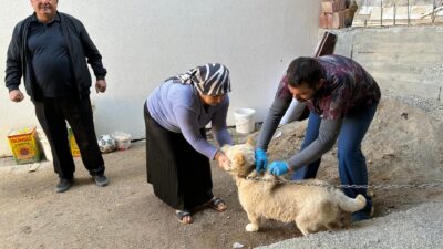 Çay Kaymakamlığı, İlçe Tarım Müdürlüğü tarafından ilçe merkezindeki mahallelerde talep