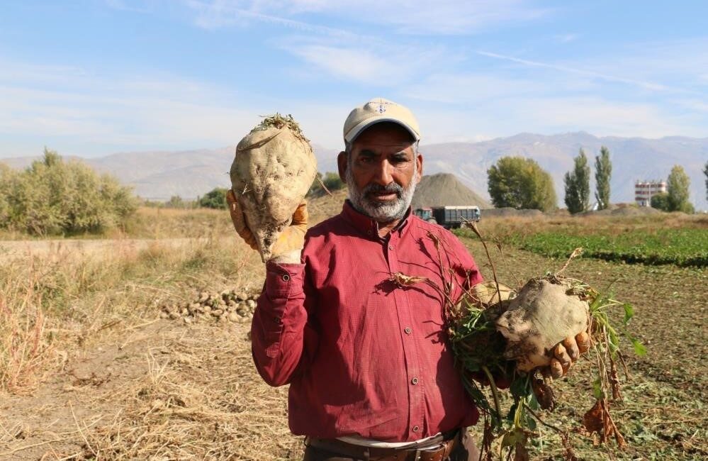 Bu yıl pancar üretimindeki düşüşe rağmen mevcut stoklar dolayısıyla şeker