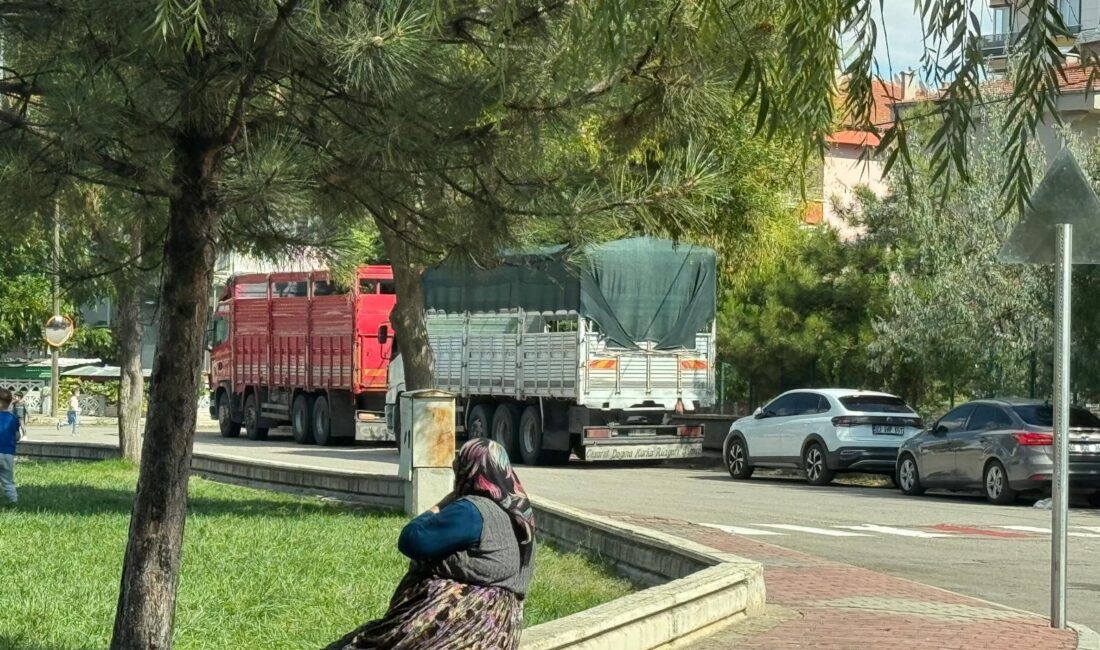 Afyonkarahisar’da son aylarda mahalle aralarına giren tır ve kamyonların sayısında