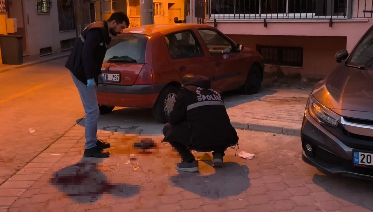 Denizli'nin İmranlı ilçesinde psikolojik sorunları olduğu belirtilen Ferhat Semerci (44),