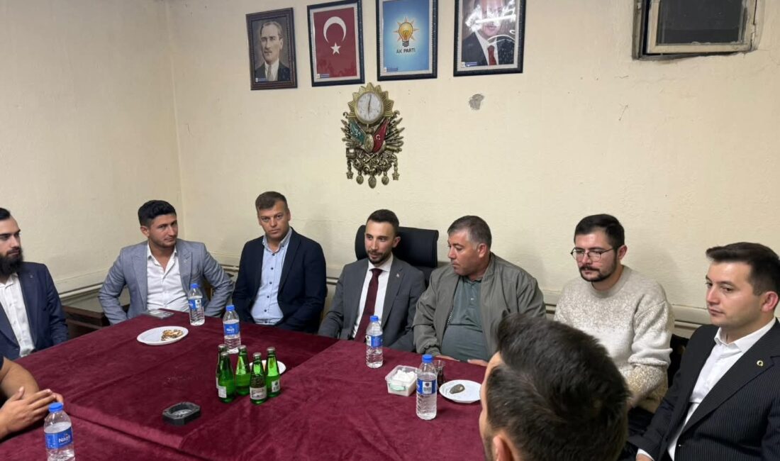 AK Parti Afyonkarahisar İl Gençlik Kolları Başkanı Mehmet Emin İntepe