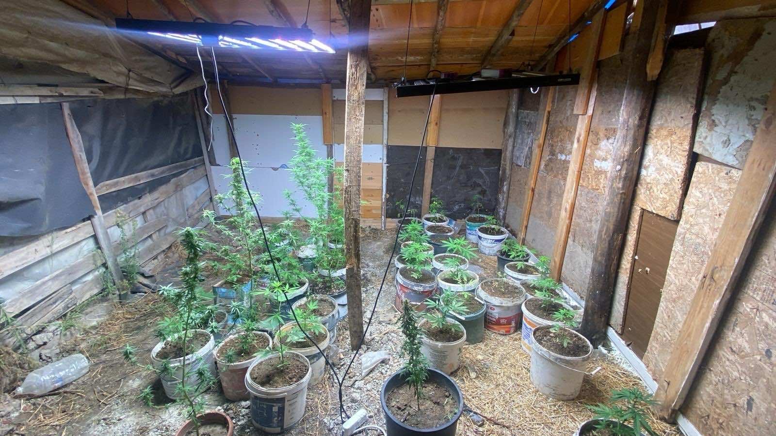 Aydın’ın Kuşadası ilçesinde jandarma ekipleri, uyuşturucu üretimi ve ticareti yapan