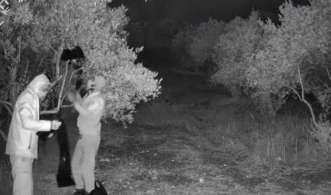 Kaçak kazı yaptılar, ekiplere suçüstü yakalandılar. Gözaltına alınan 4 şüphelinin