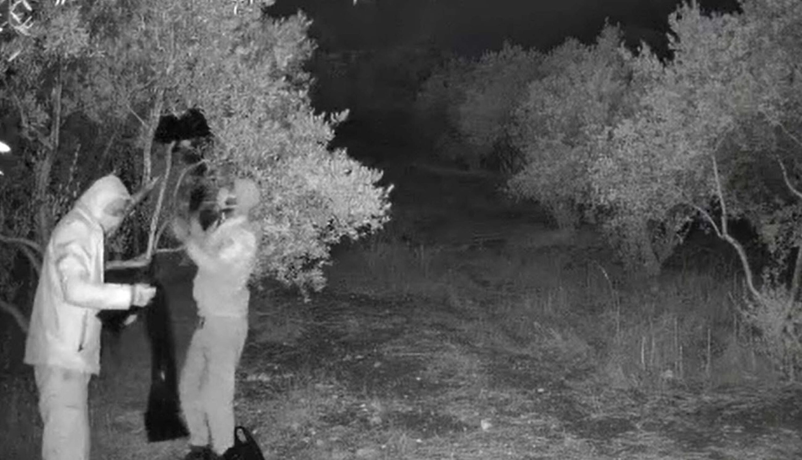 Kaçak kazı yaptılar, ekiplere suçüstü yakalandılar. Gözaltına alınan 4 şüphelinin