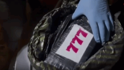 Hatay İskenderun'da narkotik köpeğiyle yapılan operasyonda, bir otomobilin kaputuna gizlenmiş