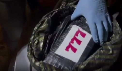 Hatay İskenderun'da narkotik köpeğiyle yapılan operasyonda, bir otomobilin kaputuna gizlenmiş