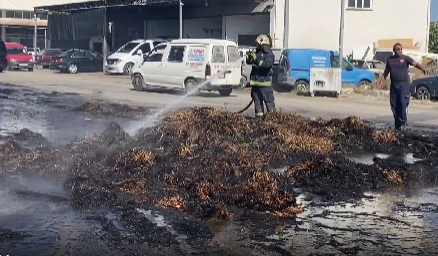 Antalya’nın Serik ilçesinde seyir halindeki bir traktörde taşınan saman balyaları