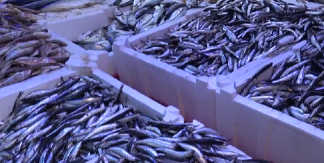 Yakın zamana kadar kilosu 300 TL'ye kadar çıkan hamsi, havaların