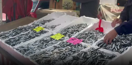 Zonguldak merkez balık halinde yerli hamsinin kilogram fiyatı 70 liraya