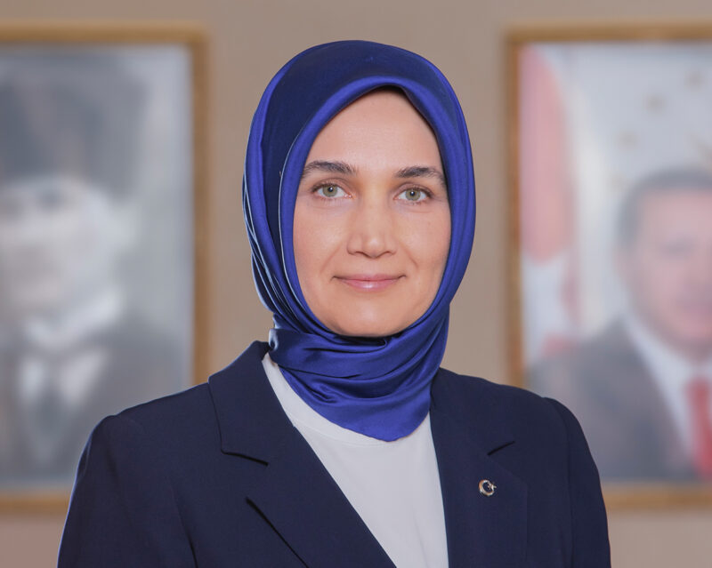  Sosyal medya hesabından Vali Doç. Dr. Kübra Güran Yiğitbaşı'na hakaret