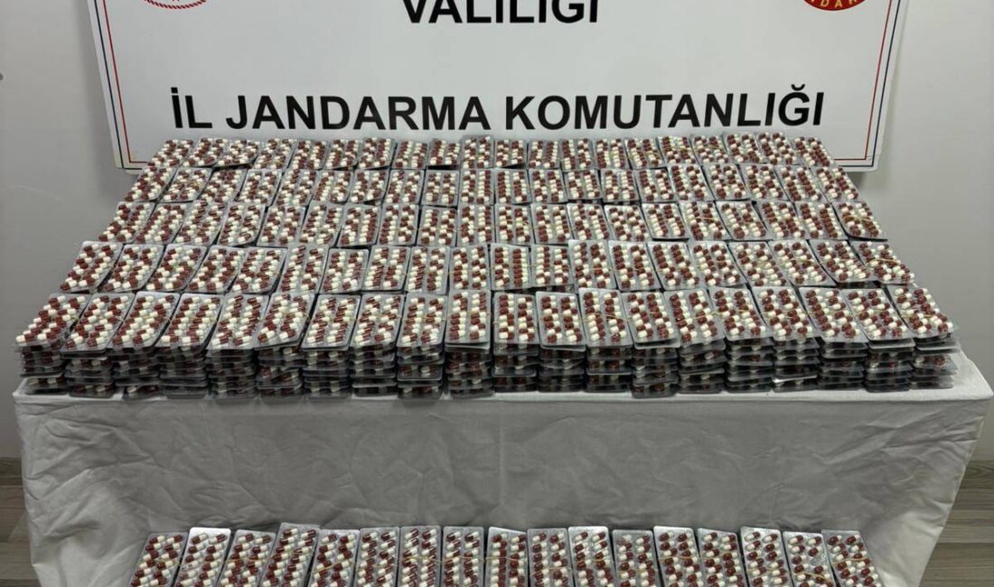 Afyonkarahisar merkez Kışlacık köyünde İl Jandarma Komutanlığı ekiplerince yapılan aramada