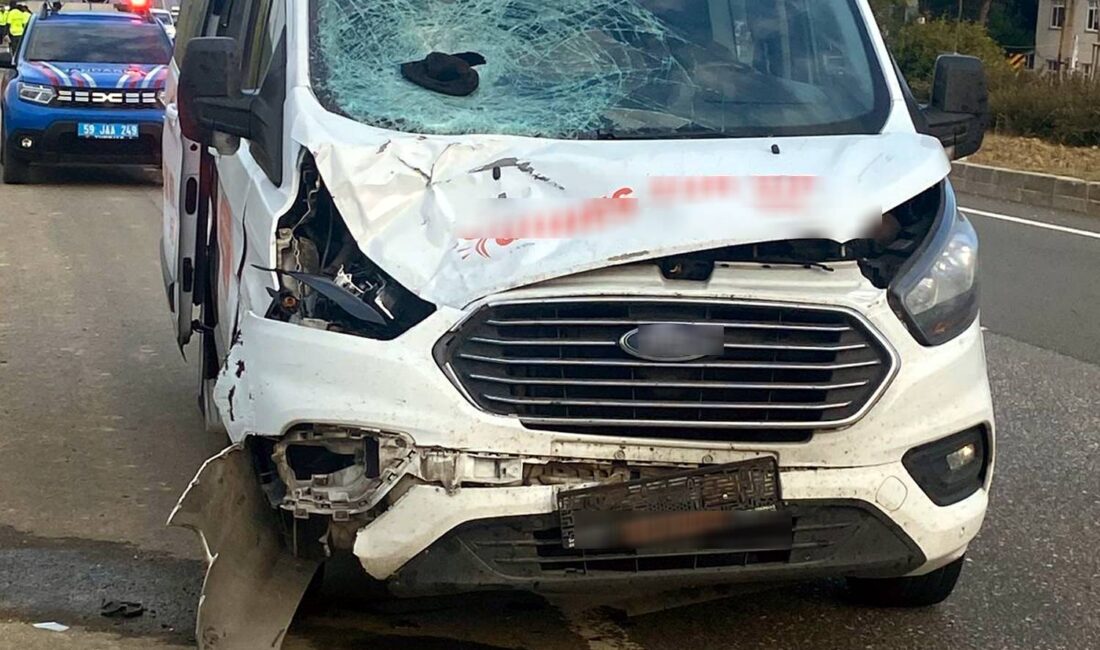 Tekirdağ’ın Malkara ilçesinde, yol kenarında yürüyen 43 yaşındaki Olcay Canbay,