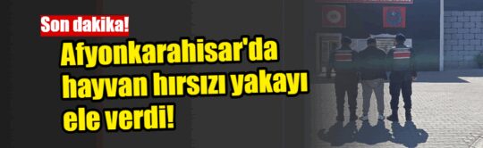 Afyonkarahisar'da 26 Yıl Hapis Cezasıyla