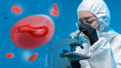 Almanya’da EHEC (Enterohemorajik Escherichia coli) bakterisinin yol açtığı salgın, iki