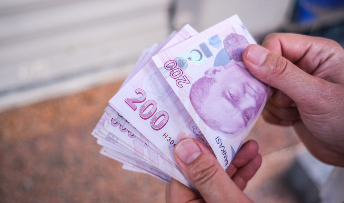 Türkiye Cumhuriyet Merkez Bankası, E9 Emisyon Grubu VII. tertip 20