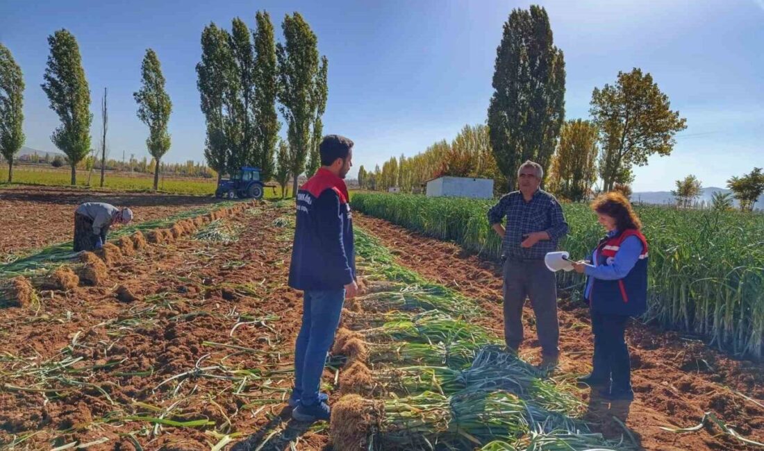 Afyonkarahisar’da çiftçi ziyaretleri: Verimlilik ve maliyet analizi yapıldı Afyonkarahisar İl Tarım ve Orman Müdürlüğü ekipleri, saha ziyaretleriyle çiftçilere