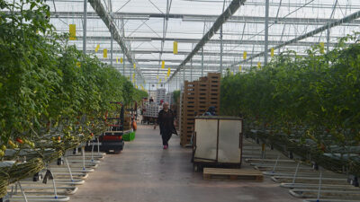 Afyon Kocatepe Üniversitesi (AKÜ) öğretim üyesi Dr. Öğr. Üyesi Muhammed