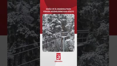 Erzincan, Bingöl, Gümüşhane, Niğde, Van, Bayburt, Erzurum ve Çankırı Ilgaz’ın
