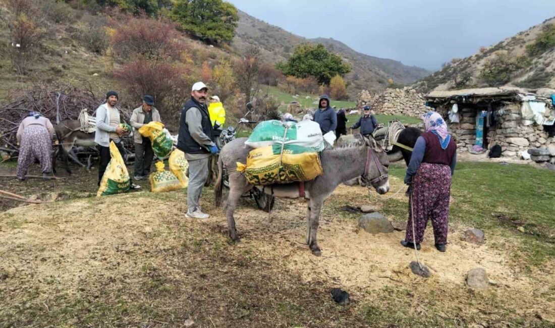 Afyonkarahisar’ın Şuhut ilçesine bağlı Tekkek Köyü’nde sonbaharın gelmesiyle birlikte kestane