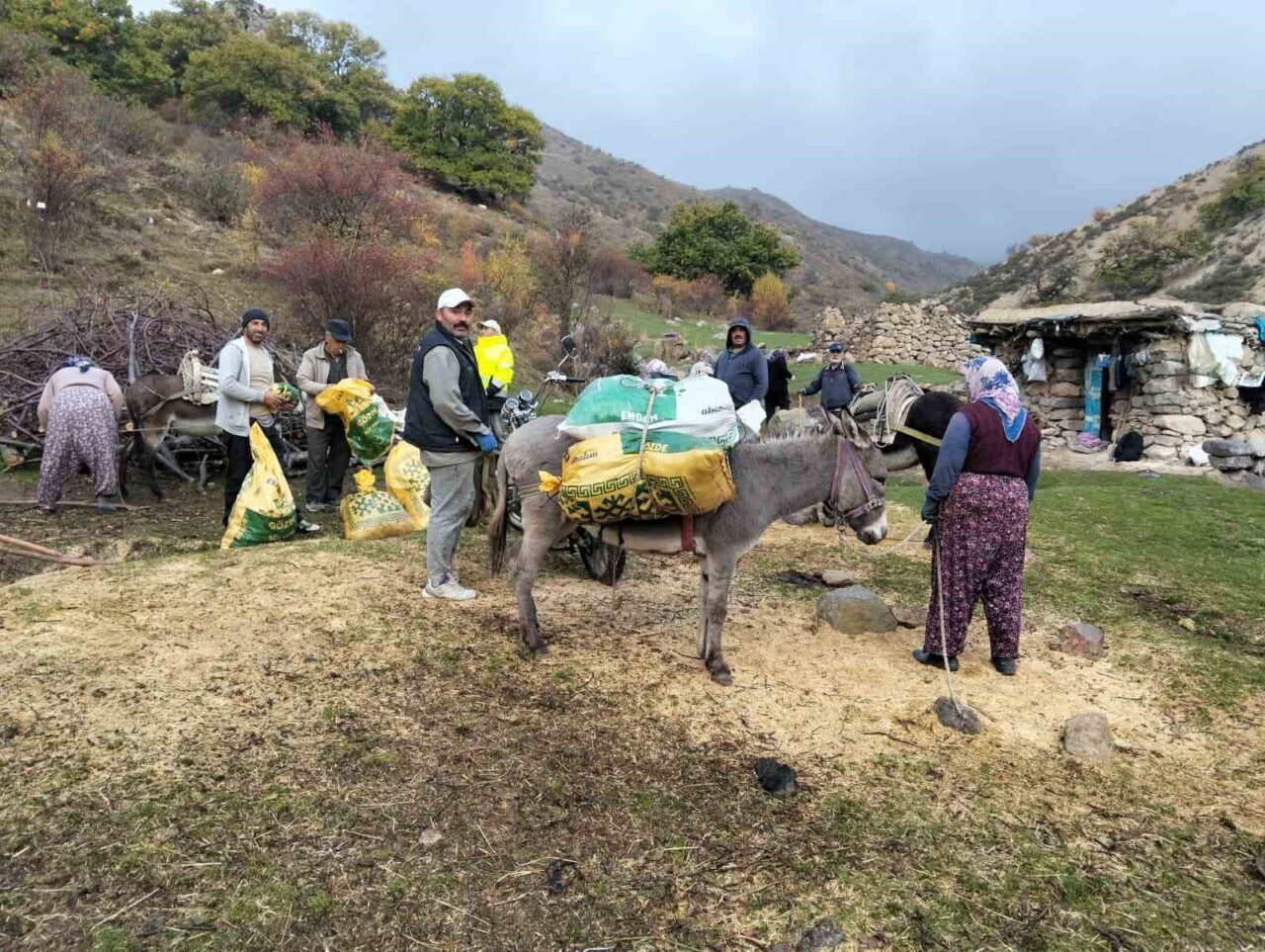 Afyonkarahisar’ın Şuhut ilçesine bağlı Tekkek Köyü’nde sonbaharın gelmesiyle birlikte kestane