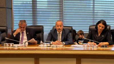 Milliyetçi Hareket Partisi Afyonkarahisar Milletvekili Mehmet Taytak, TBMM Tarım, Orman