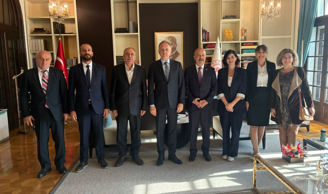 Milliyetçi Hareket Partisi Afyonkarahisar Milletvekili Mehmet Taytak, Türkiye Büyük Millet