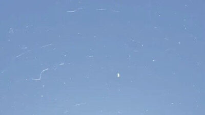 Tekirdağ'ın Muratlı ilçesinde vatandaşlar, gökyüzünden süzülen beyaz ipliksi yapılarla karşılaştı.