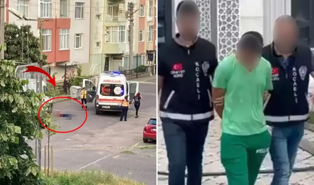 Kocaeli'nin Gölcük ilçesinde cezaevinden çıktıktan 4 gün sonra yaşlı bir