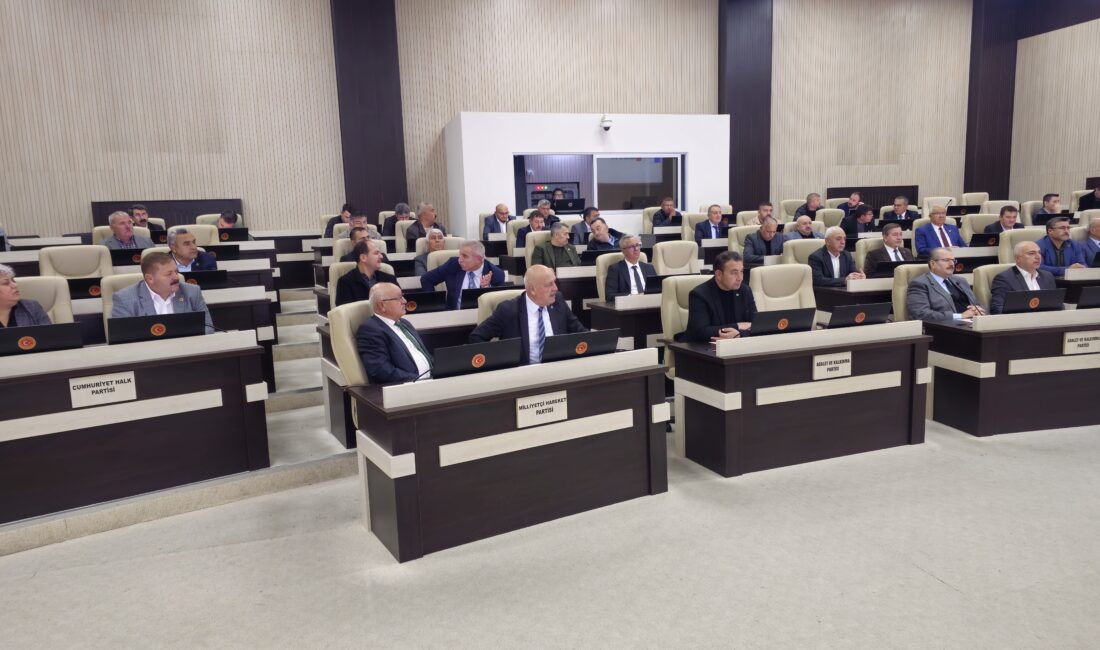 Afyonkarahisar İl Genel Meclisi Üyesi AK Partili Ahmet Aktürk, Hollanda