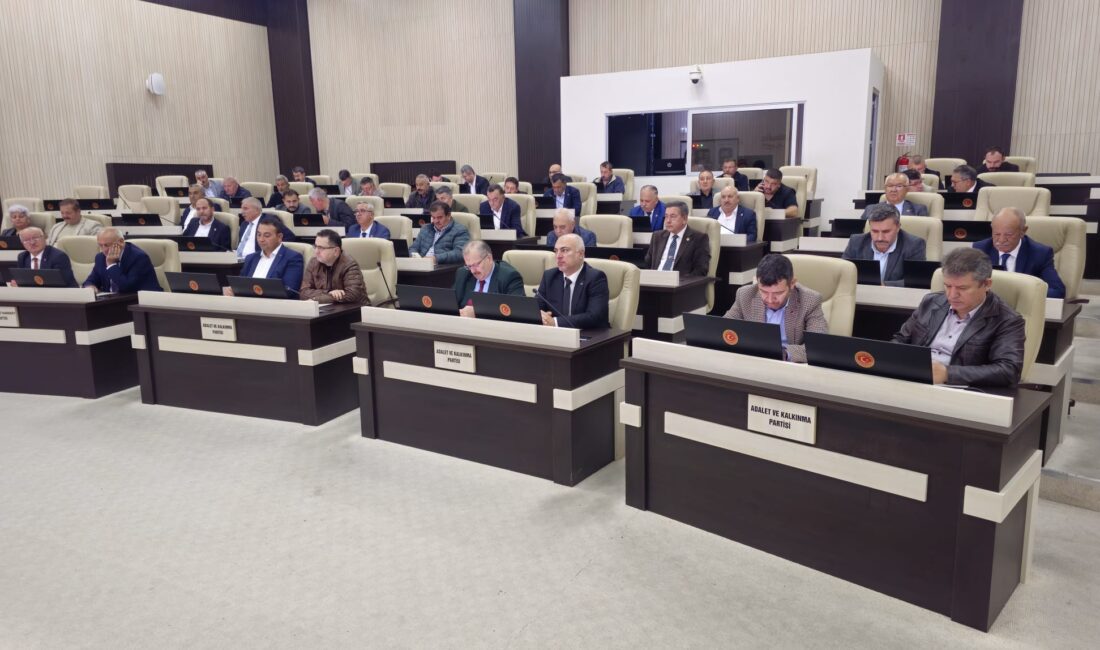 Afyonkarahisar İl Genel Meclisi’nin kasım ayı toplantılarının 5. oturumu, Başkan