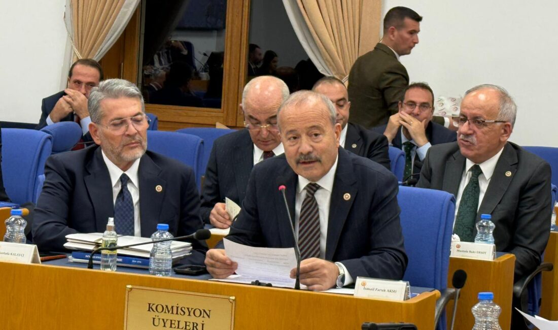 Milliyetçi Hareket Partisi (MHP) Afyonkarahisar Milletvekili Mehmet Taytak, Türkiye Büyük