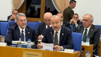 Milliyetçi Hareket Partisi (MHP) Afyonkarahisar Milletvekili Mehmet Taytak, Türkiye Büyük