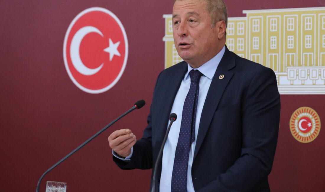 İYİ Parti Genel Başkan Yardımcısı ve Afyonkarahisar Milletvekili Hakan Şeref