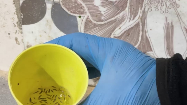 Hatay’ın Kırıkhan ilçesinde zabıta ekipleri fırınlara yaptığı denetimde sağlıksız koşullarla