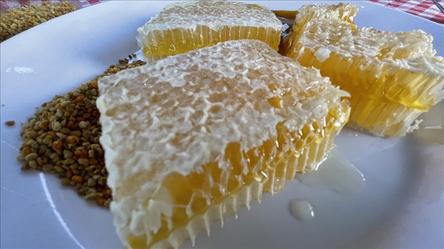 Türkiye Odalar ve Borsalar Birliği (TOBB) Başkanı Rifat Hisarcıklıoğlu, Yenice