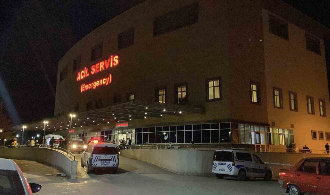 Çorum Ortaköy Esentepe köyünde hayvan otlatma nedeniyle tartışan Cemal Yılmaz