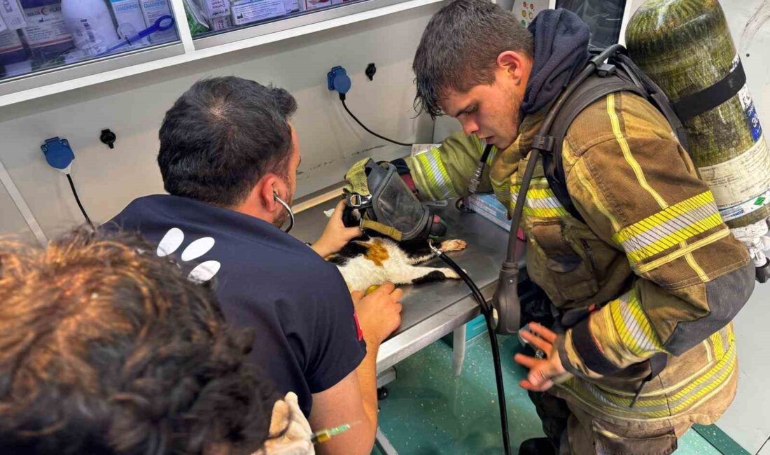 İzmir’de itfaiye ekipleri, Konak İskelesi yakınında beş gündür kayıp olan