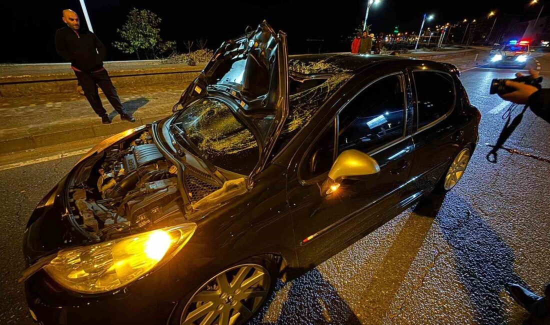 Rize'de bir gence, arkadaşlarının halı saha maçını izlemek için gittiği