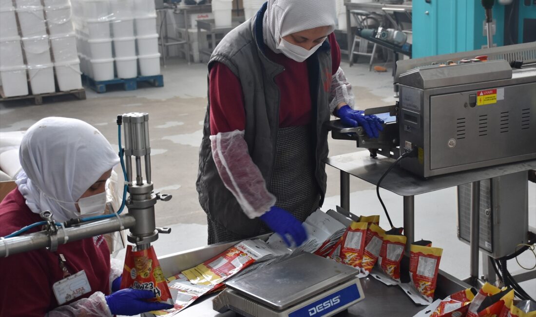 Afyonkarahisar’daki firma, Tarım ve Kırsal Kalkınmayı Destekleme Kurumu (TKDK) desteğiyle