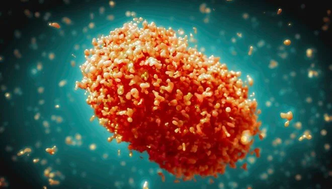 DSÖ, M çiçeği (mpox) virüsünün klad 1b varyantının İtalya, Malezya,